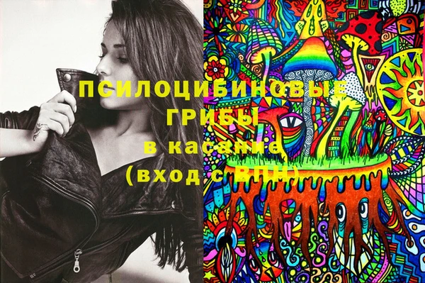 эйфоретик Баксан