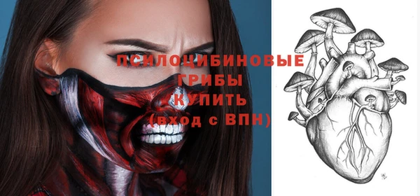 эйфоретик Баксан