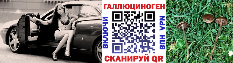 Псилоцибиновые грибы мицелий Горячеводский